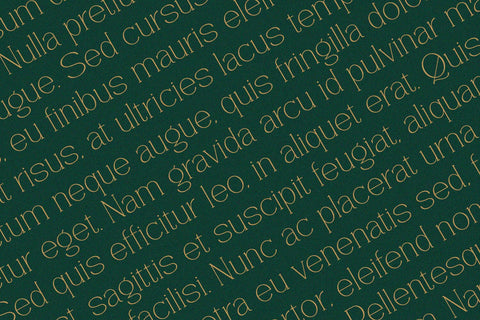 Vantique - Serif Font Font Alpaprana Studio 