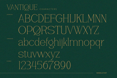 Vantique - Serif Font Font Alpaprana Studio 