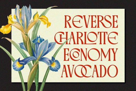Varoste - Modern Vintage Font Arterfak Project 