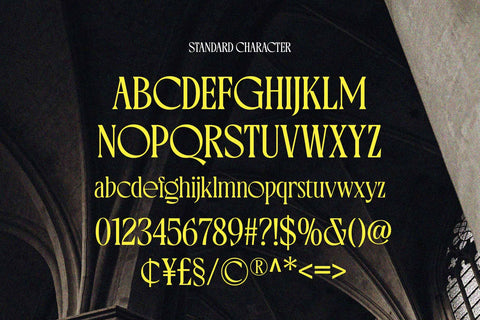 Varoste - Modern Vintage Font Arterfak Project 