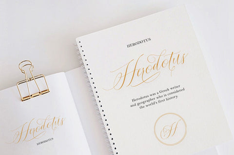 Vatella Font WsStudio 