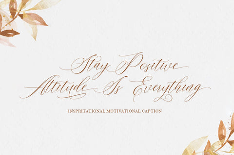 Vatella Font WsStudio 