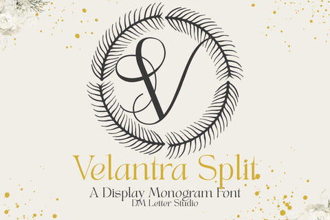 Velantra Monogram Font Font Dm Letter Studio 