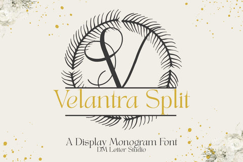 Velantra Split Monogram Font Font Dm Letter Studio 