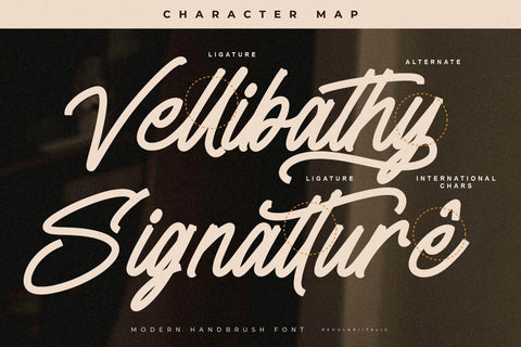 Vellibathy - Modern Handbrush Font Font Letterena Studios 
