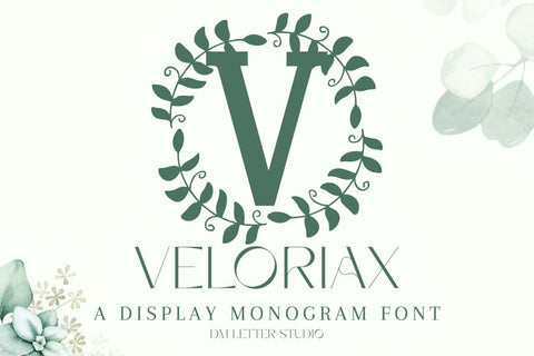 Veloriax Monogram Font Font Dm Letter Studio 