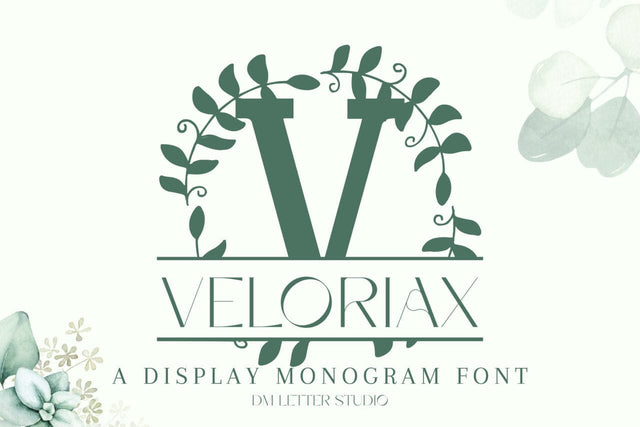 Veloriax Split Monogram Font Font Dm Letter Studio 