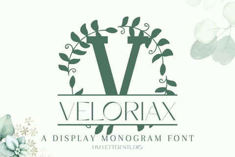Veloriax Split Monogram Font Font Dm Letter Studio 