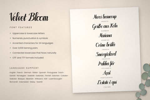 Velvet Bloom Bold Brush Script Font Font ampersand 