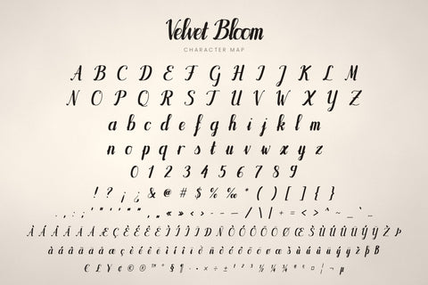 Velvet Bloom Bold Brush Script Font Font ampersand 