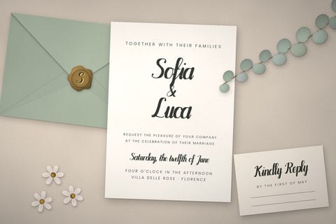 Velvet Bloom Bold Brush Script Font Font ampersand 
