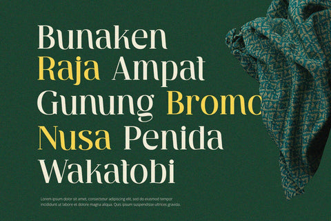 Ventura - Serif Font Font Alpaprana Studio 