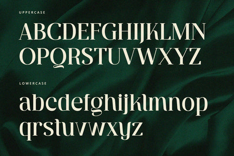Ventura - Serif Font Font Alpaprana Studio 