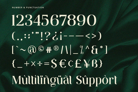 Ventura - Serif Font Font Alpaprana Studio 