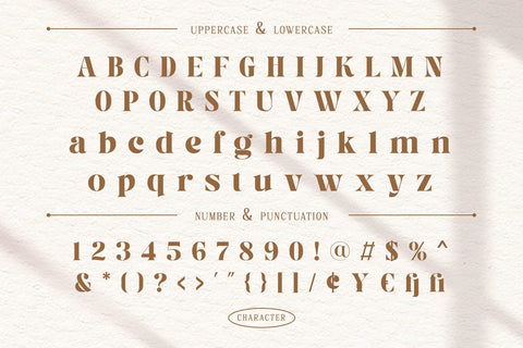 Versyla - Classic & Modern Serif Font Font studioalmeera 
