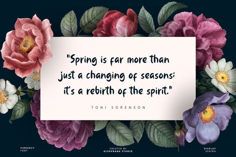 Vibrancy - Display Font Font Alpaprana Studio 