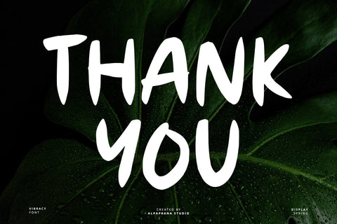 Vibrancy - Display Font Font Alpaprana Studio 