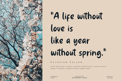 Vibrancy - Display Font Font Alpaprana Studio 