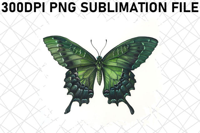 Vibrant Butterfly PNG Artwork Sublimation afrosvg 