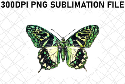 Vibrant Butterfly PNG Design Sublimation afrosvg 