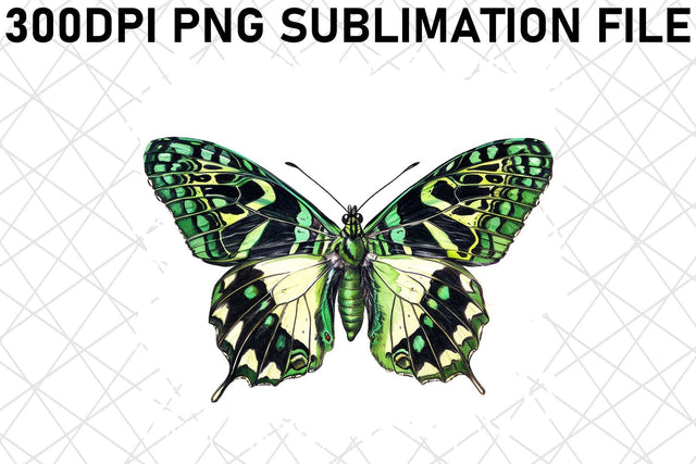 Vibrant Butterfly PNG Design Sublimation afrosvg 