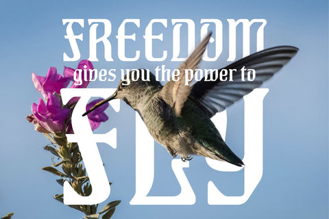 Vienna Bloom Art Nouveau Font Font FontDuo 