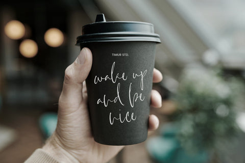 Villary Wisdom - Modern Handwritten Script Font Font Timur type 