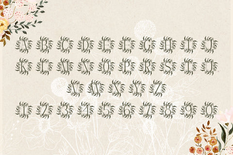 Vine Velvet Monogram Font Dm Letter Studio 