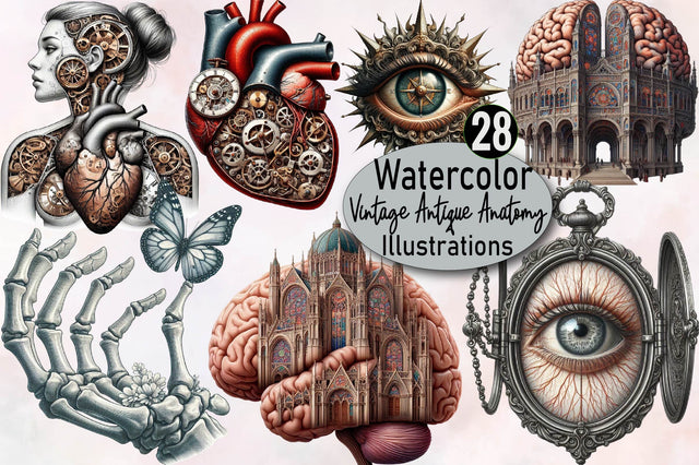 Vintage Antique Anatomy Clipart Bundle Sublimation SVGArt 