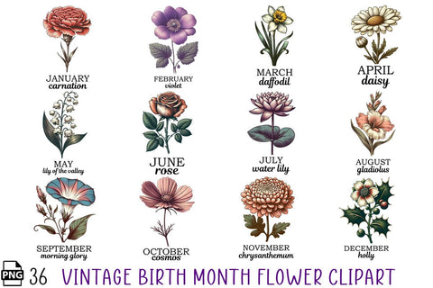 Vintage Birth Month Flower Clipart Bundle Printable File Sublimation Creativedesigntee 