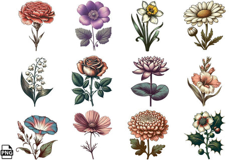 Vintage Birth Month Flower Clipart Bundle Printable File Sublimation Creativedesigntee 