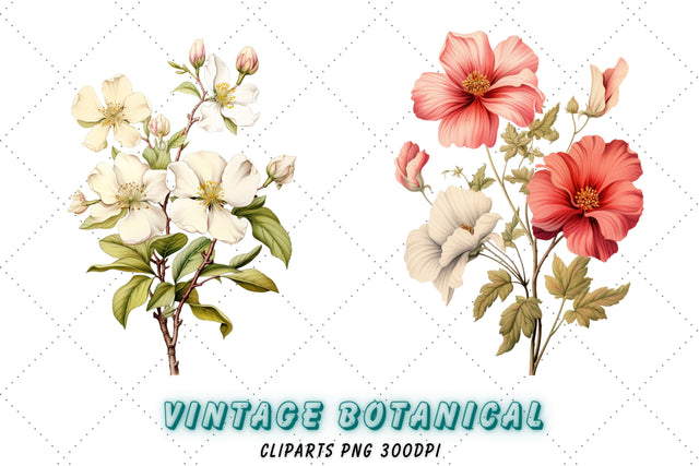 Vintage Botanical Flowers Clipart Collection | Classic Flora Sublimation FloridPrintables 