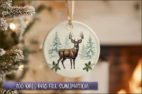 Vintage Christmas Ornaments Clipart PNG Sublimation Shetara Begum 