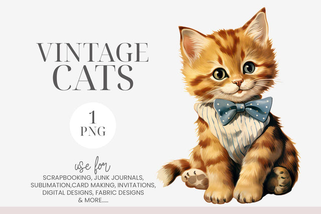 Vintage Kitten with Blue & White Bow Clipart PNG Sublimation BijouBay 