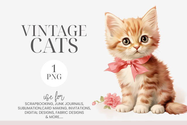 Vintage Kitten with Pink Bow Clipart PNG Sublimation BijouBay 