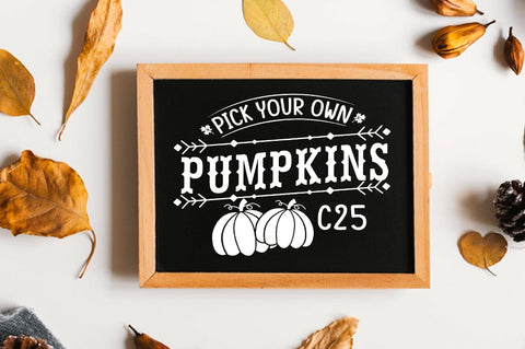 Vintage Retro Fall Sign SVG Bundle SVG Shetara Begum 