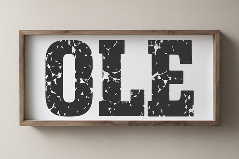 Vintage Varsity Distressed Font | Grunge College Athletic Font TonisArtStudio 