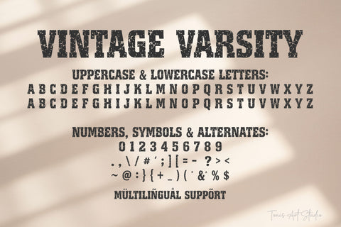 Vintage Varsity Distressed Font | Grunge College Athletic Font TonisArtStudio 