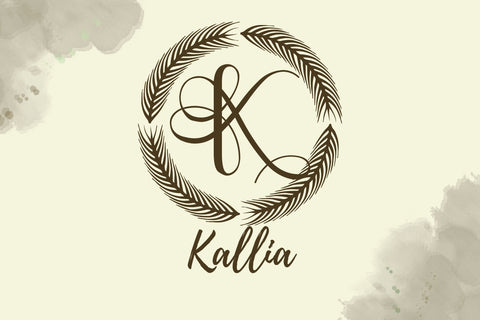 Virdelle Monogram Font Dm Letter Studio 