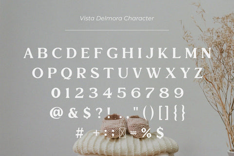 Vista Delmora - Modern Serif Font Font studioalmeera 