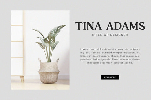 Vista Delmora - Modern Serif Font Font studioalmeera 