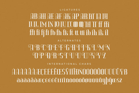 Vittorika - Modern Serif Font Font Letterena Studios 