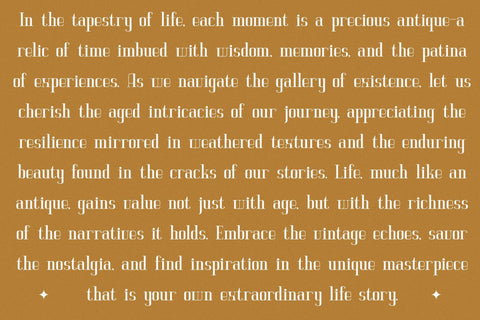 Vittorika - Modern Serif Font Font Letterena Studios 