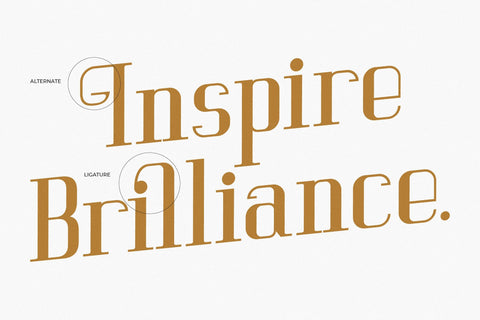 Vittorika - Modern Serif Font Font Letterena Studios 