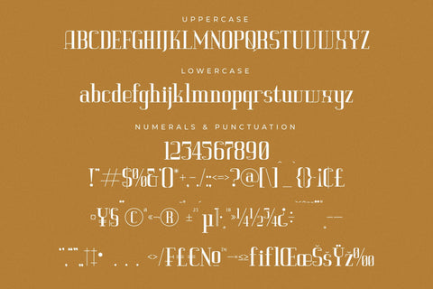 Vittorika - Modern Serif Font Font Letterena Studios 