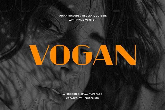 Vogan Typeface Font Font Heinzel Studio 