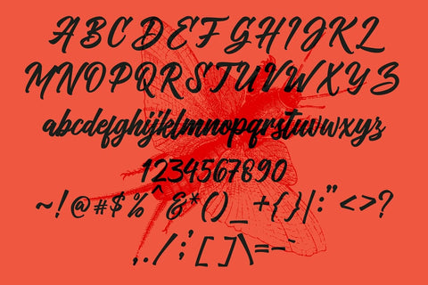 Vriegbe Script Typeface Font Fadeline Std. 