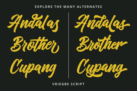 Vriegbe Script Typeface Font Fadeline Std. 