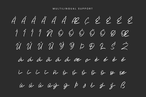 Wadgres - Script Brush Font Font Irvan Randi 