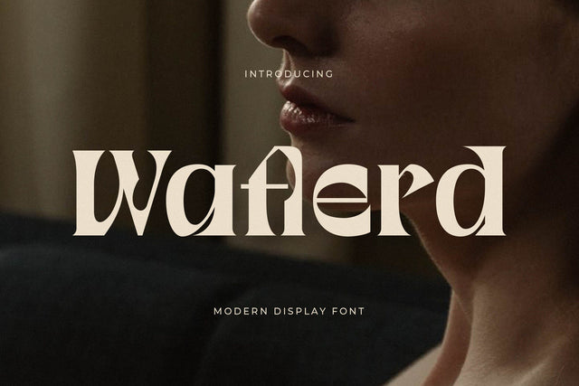 Waflerd - Modern Display Font Font Letterena Studios 